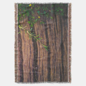 Couverture beau bois ancien (devant Vertical)
