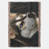 Couverture Beau Oreiller Husky Lrow (devant Vertical)