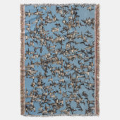 Couverture Beaux canards d'hiver en vol (devant Vertical)