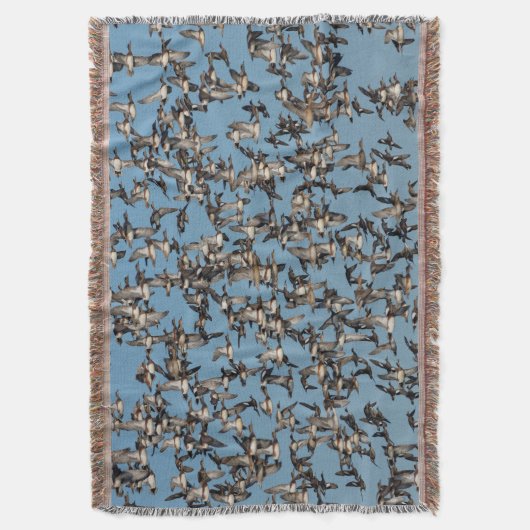 Couverture Beaux canards d'hiver en vol (devant Vertical)