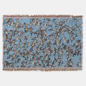 Couverture Beaux canards d'hiver en vol (Devant)