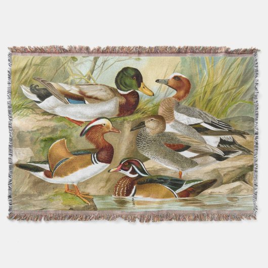 Couverture Beaux canards Vintages 1 (Devant)
