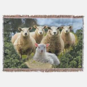 Couverture Bébé agneau mouton troupeau troupeau troupeau