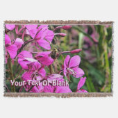 Couverture Bee Nice (Devant)