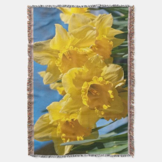 Couverture Belles Daffodiles Jaunes (devant Vertical)