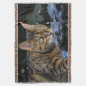Couverture Bengale magnifique chat (devant Vertical)