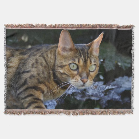 Couverture Bengale magnifique chat (Devant)