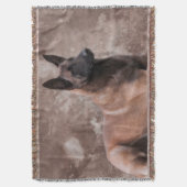 Couverture Berger belge de Malinois - Mechelaar (devant Vertical)