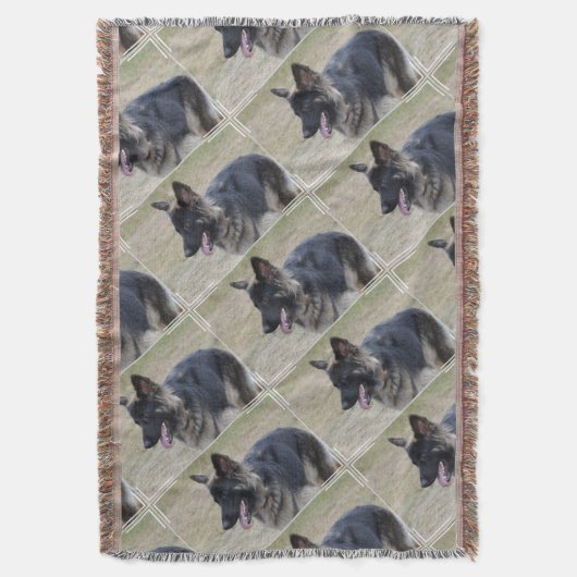 Couverture Berger mignon de Shiloh (devant Vertical)