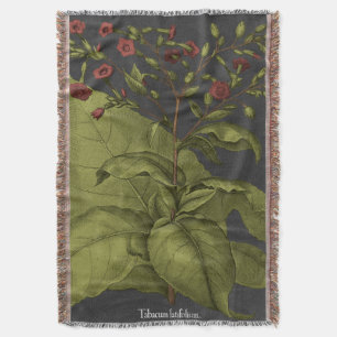 Couverture Besler Dramatique I