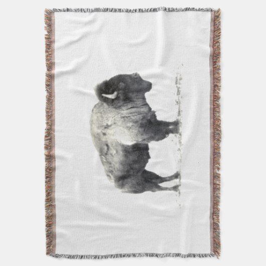 Couverture Bison américain (devant Vertical)