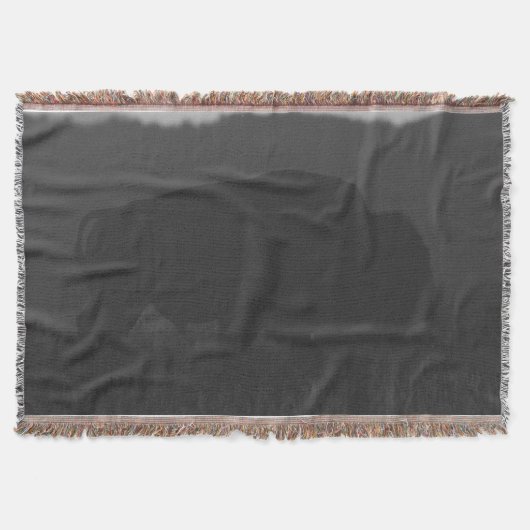 Couverture Bison de l'ombre (Devant)