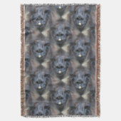 Couverture Black Llama Face Nature Art Motif (devant Vertical)