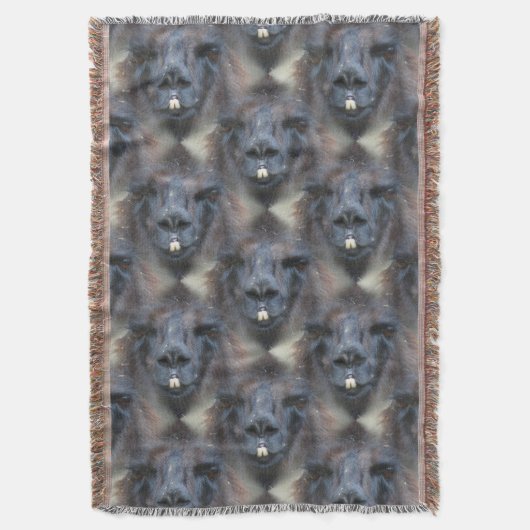 Couverture Black Llama Face Nature Art Motif (devant Vertical)