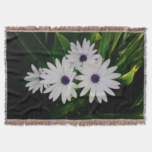 Couverture Blanche à lancer de fleurs blanches (Devant)