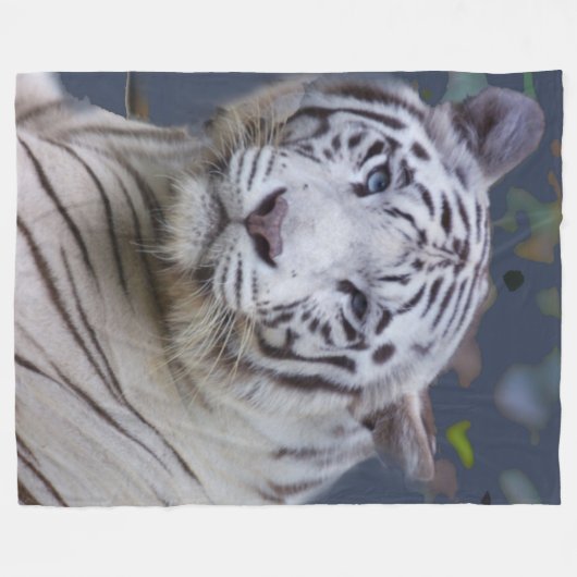 Couverture blanche de tigre (Devant (Horizontal))