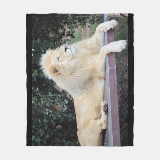 Couverture blanche d'ouatine de lion (Devant)