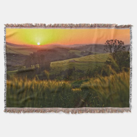 Couverture Blé d'agriculture de coucher du soleil (Devant)