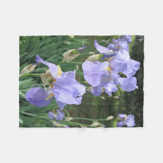 Couverture bleue Irises pour les amateurs de fleur (Devant (Horizontal))