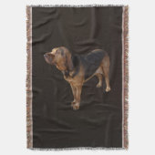 Couverture Bloodhound (devant Vertical)