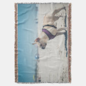 Couverture Bouledogue français sur la plage (devant Vertical)