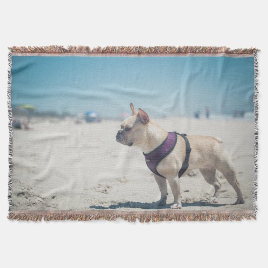 Couverture Bouledogue français sur la plage (Devant)