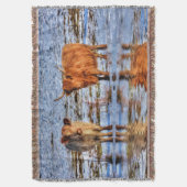 Couverture Bovins des Highlands en neige hivernale (devant Vertical)