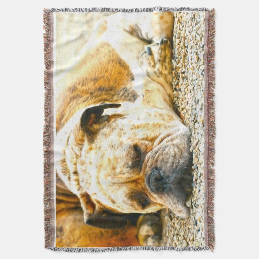 Couverture Boxe Chien Chien Chien Eau Couleur Huile Peinture (devant Vertical)