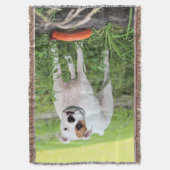 Couverture Boxer (devant Vertical)