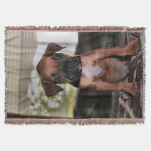 Couverture Boxer Baby