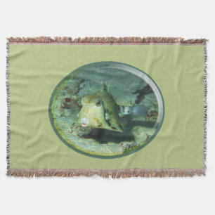 Couverture Boxfish - tellement mignon ! Conception photograph