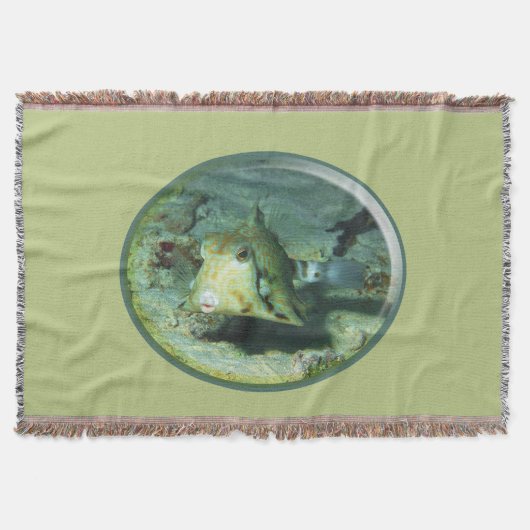 Couverture Boxfish - tellement mignon ! Conception photograph (Devant)