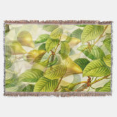 Couverture Branches de poires et Motif de poires (Devant)