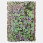 Couverture Branches Feuilles rouges et vertes Photographie (devant Vertical)