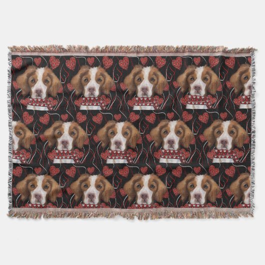 Couverture Bretagne (Devant)