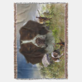 Couverture Bretagne française, Art (devant Vertical)