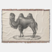 Couverture Brodtmann Camel Sketch (Devant)