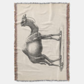 Couverture Brodtmann Dromedary Camel croquis (devant Vertical)