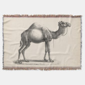 Couverture Brodtmann Dromedary Camel croquis (Devant)