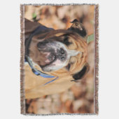Couverture Buddy bulldog (devant Vertical)