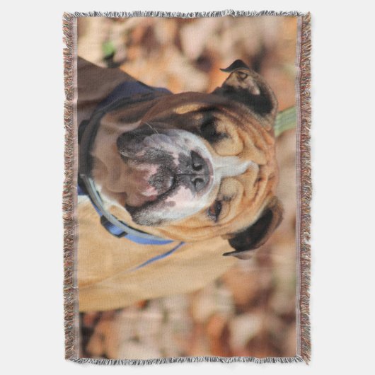 Couverture Buddy bulldog (devant Vertical)