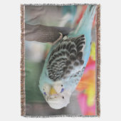 Couverture Budgie (devant Vertical)