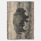 Couverture Buffle américain - Bison des plaines (devant Vertical)