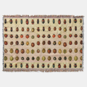 Couverture Bug d'insectes coccinelle de coccinelle