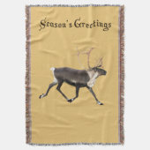 Couverture Bull Caribou (devant Vertical)