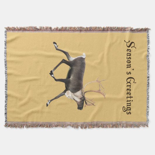 Couverture Bull Caribou (Devant)