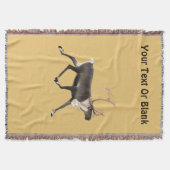 Couverture Bull Caribou (Devant)