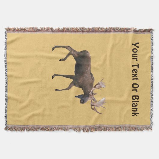 Couverture Bull Moose (Devant)