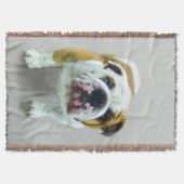 Couverture Bulldog Painting - Joli art original chien (Devant)