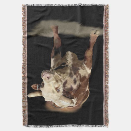 Couverture Bulle de rodéo (devant Vertical)